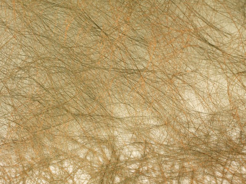 11476-01-01.jpg