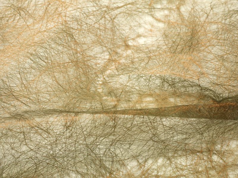 11476-01-04.jpg