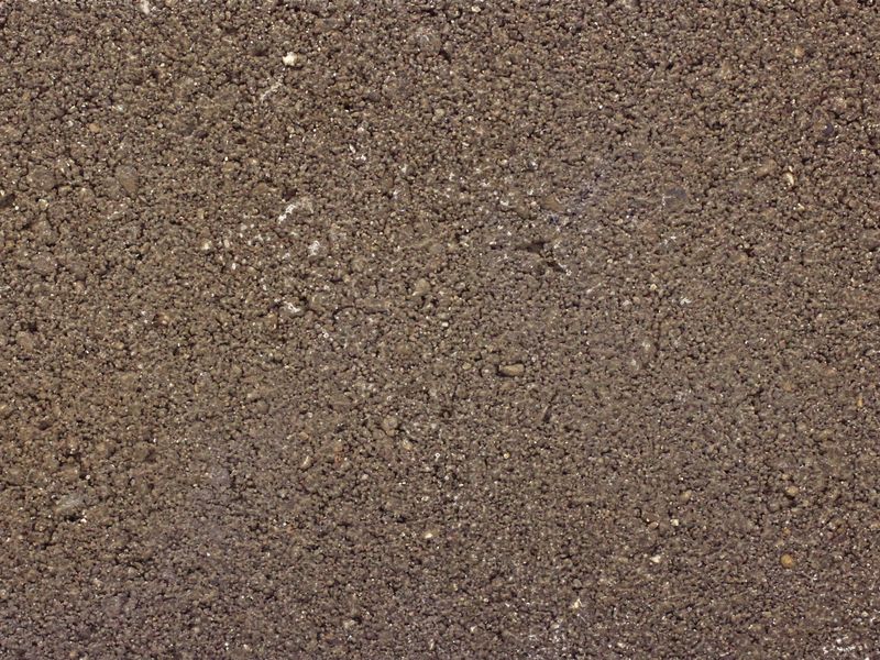10961-04-02.jpg