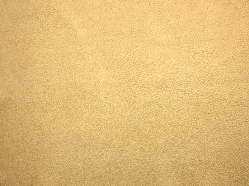 19733-05-03.jpg