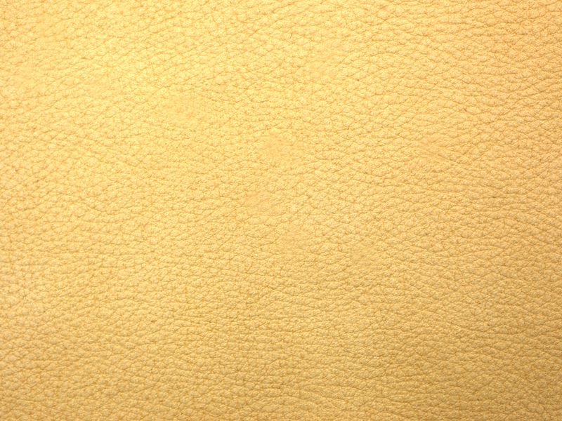 19733-05-05.jpg