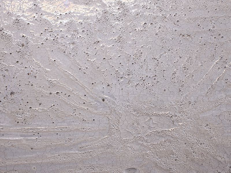 21978-01-01.jpg