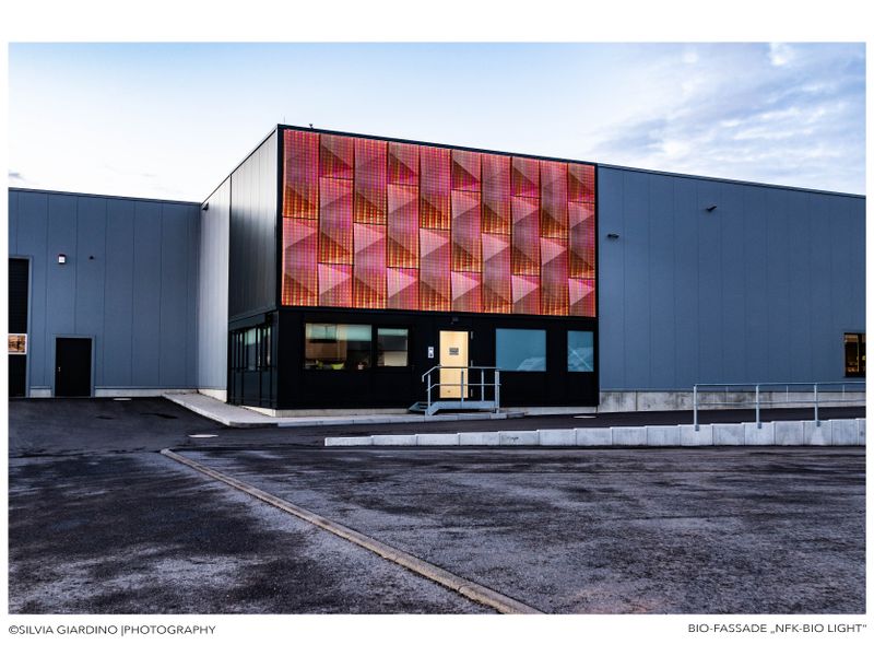 material-competition-project-images-importekiwBn