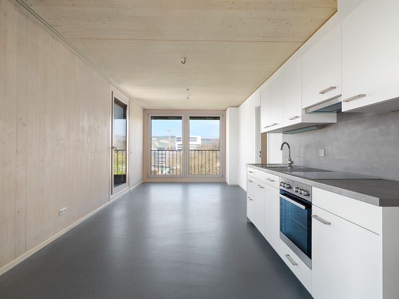 material-competition-project-images-importZh1pRZ