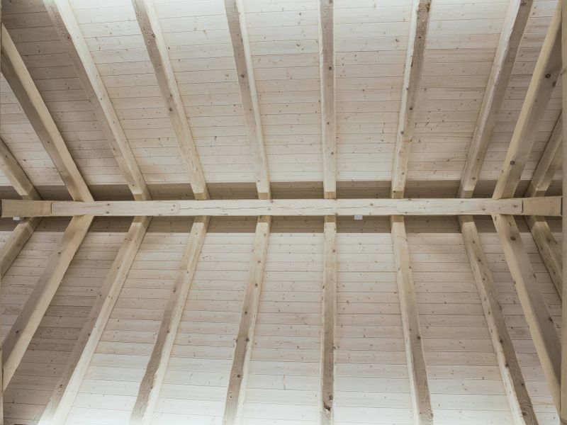 material-competition-project-images-importocHchr