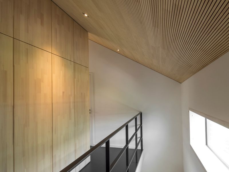 material-competition-project-images-importJwq4fS