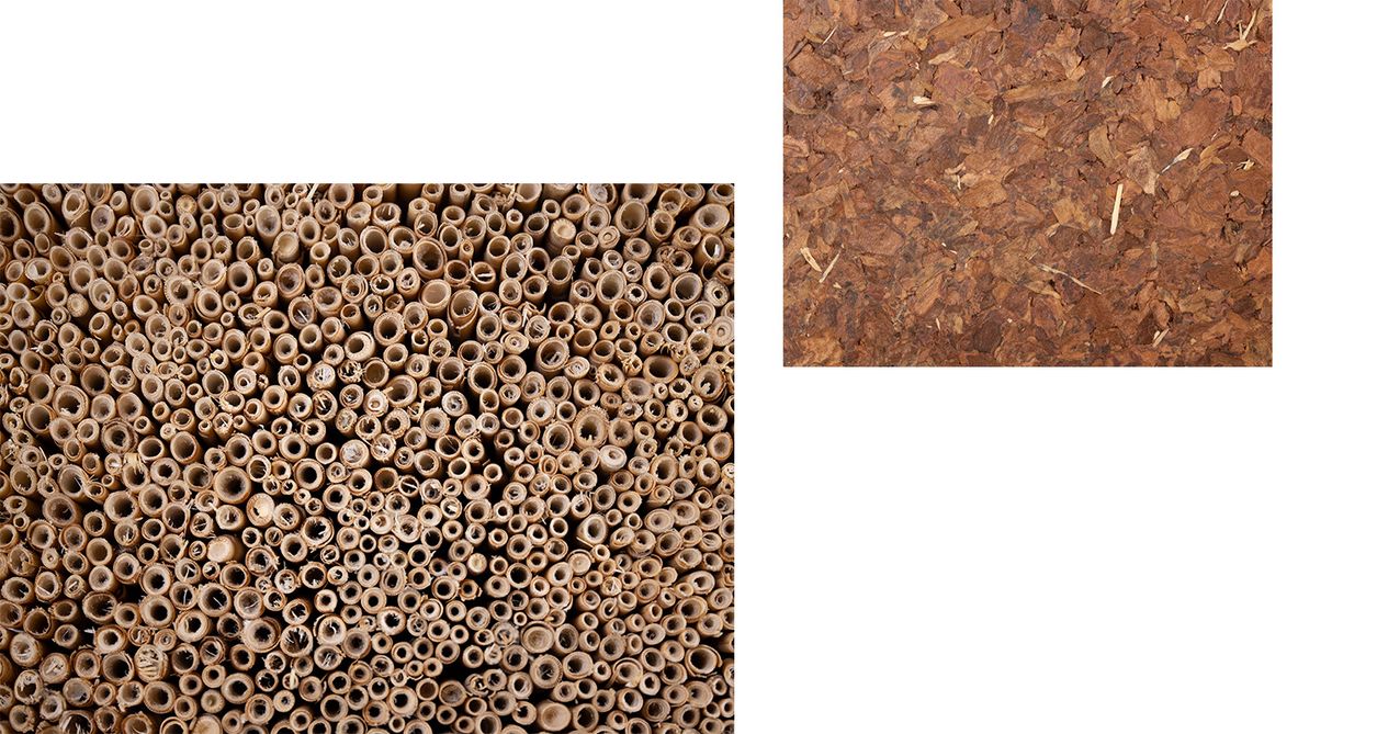 Banner_Collage_03.jpg