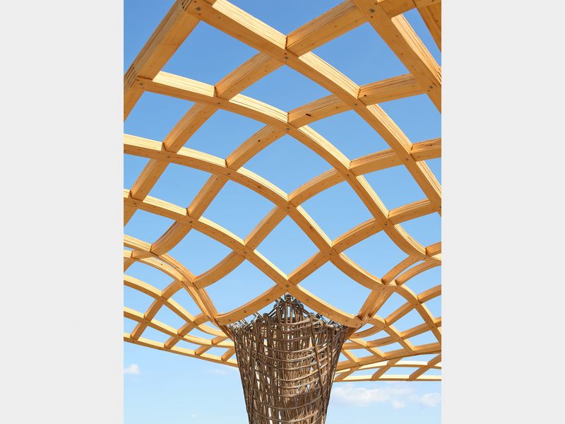 Mp2023_design of structures Karlsruher Institut für Technologie_ReGrow Timber Canopy_01.jpg
