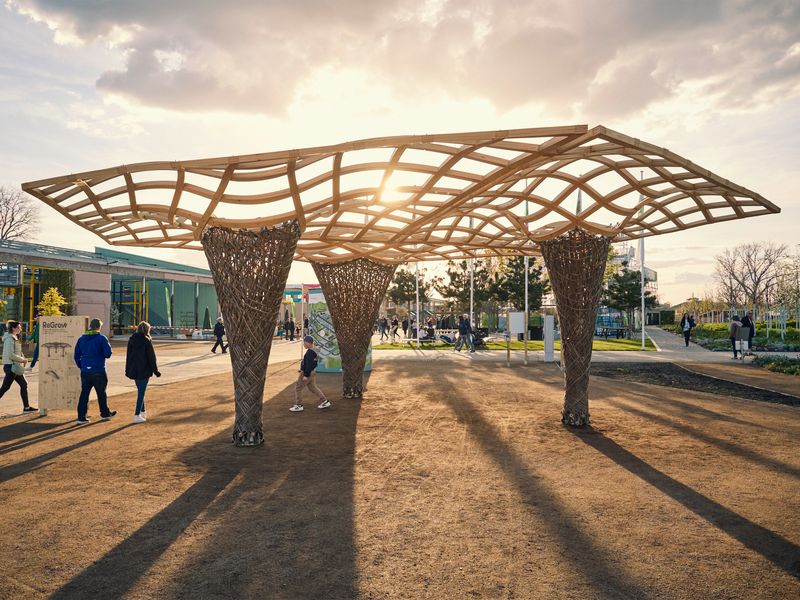 Mp2023_design of structures Karlsruher Institut für Technologie_ReGrow Timber Canopy_02.jpg