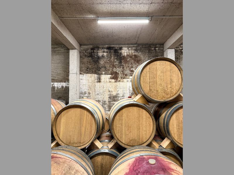 Mp2023_Dost Architektur GmbH_Weinatelier Besson Strasser_02.jpg