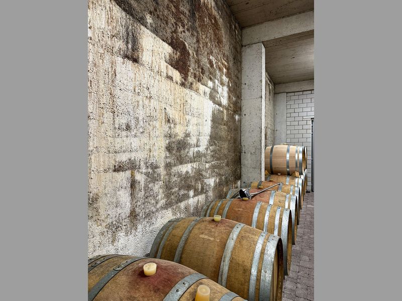 Mp2023_Dost Architektur GmbH_Weinatelier Besson Strasser_01.jpg