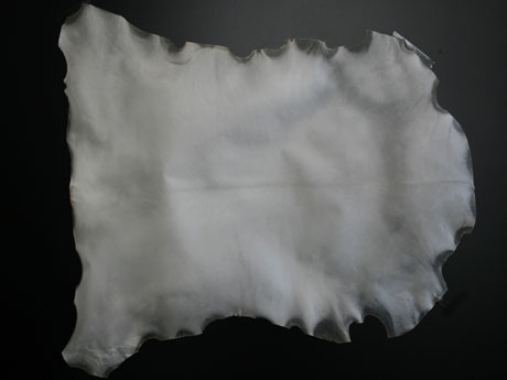 N_12_07_KirschPergament_3_w.jpg.jpg