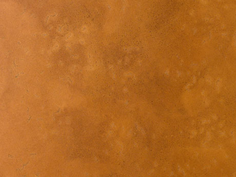 N-11-03-Tendermark-04-2.jpg.jpg