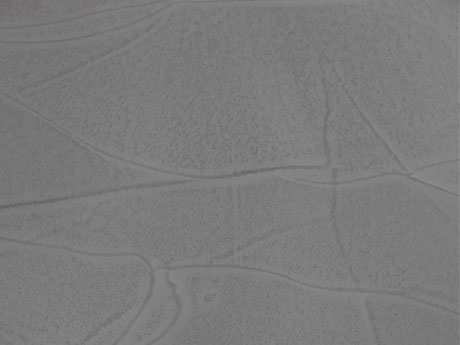 N-12-05-Kiesel_Cerflor-01.jpg.jpg
