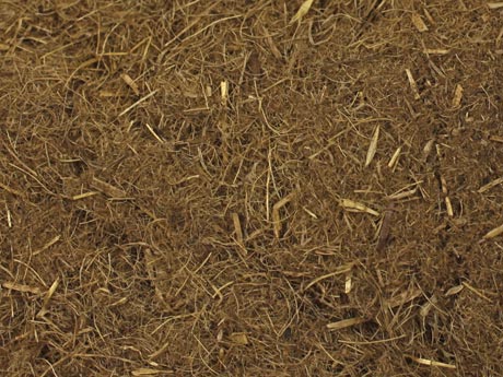 MP_13_AgriCell_06.jpg.jpg