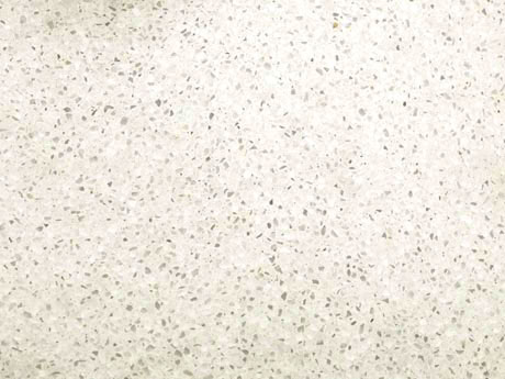 N-13-01-01-Ardex-01.jpg.jpg