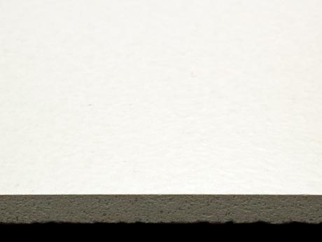 mP14_ER_Ardex_29.jpg.jpg
