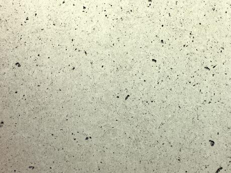 mP16_ER-WVS-01.jpg.jpg