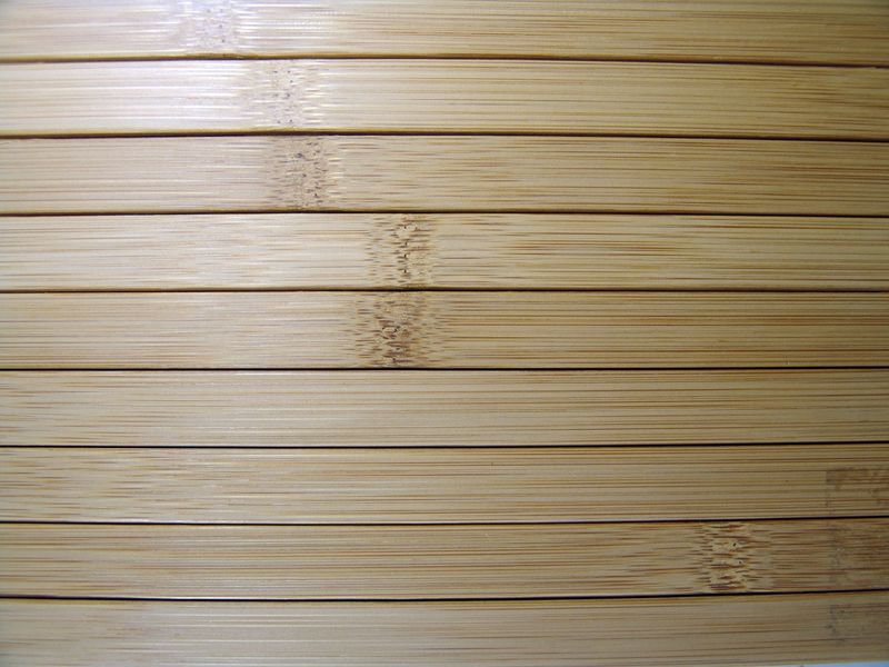 C0429-03-03.JPG
