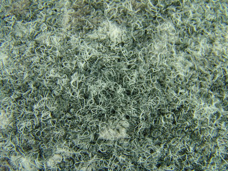 C0466-11-01.JPG
