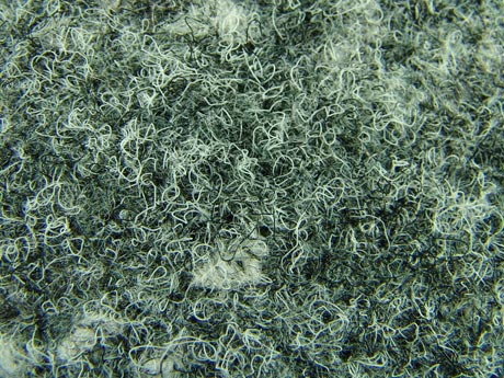 C0466-11-03.jpg