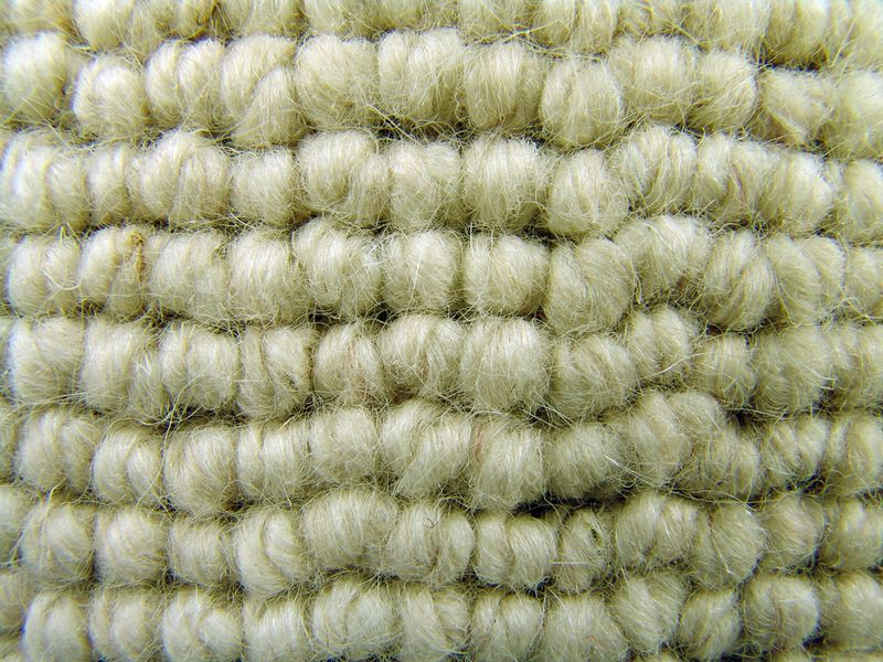 C0856-01-01.JPG