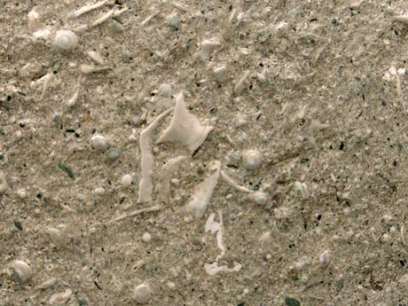 C2540-01-01.jpg