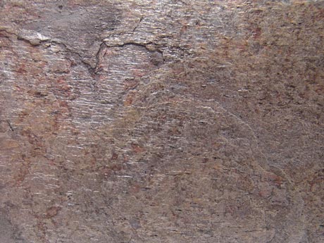 C0807-05-03.jpg