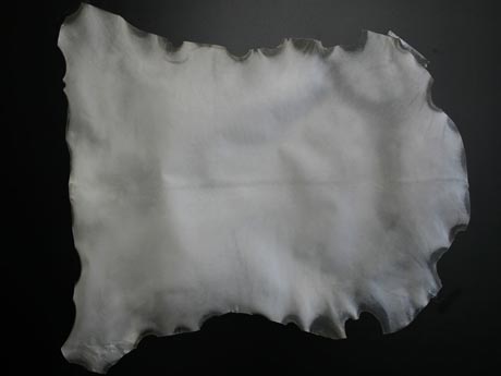 C2434-07-03.jpg