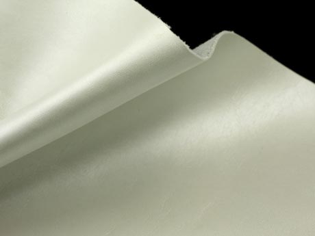 C2434-09-01.jpg