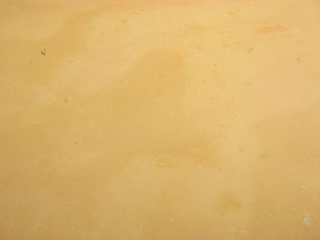 C2921-01-02.jpg