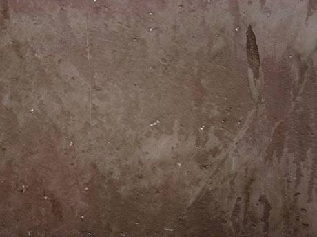 C2921-02-01.jpg