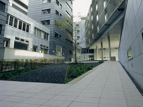 C2847-01-05.jpg