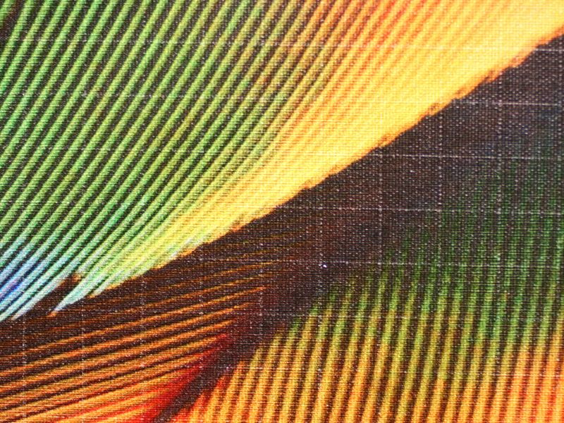 C3523-05-02.jpg