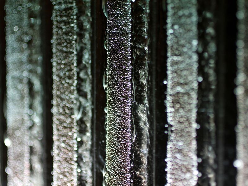C3722-01-01.jpg